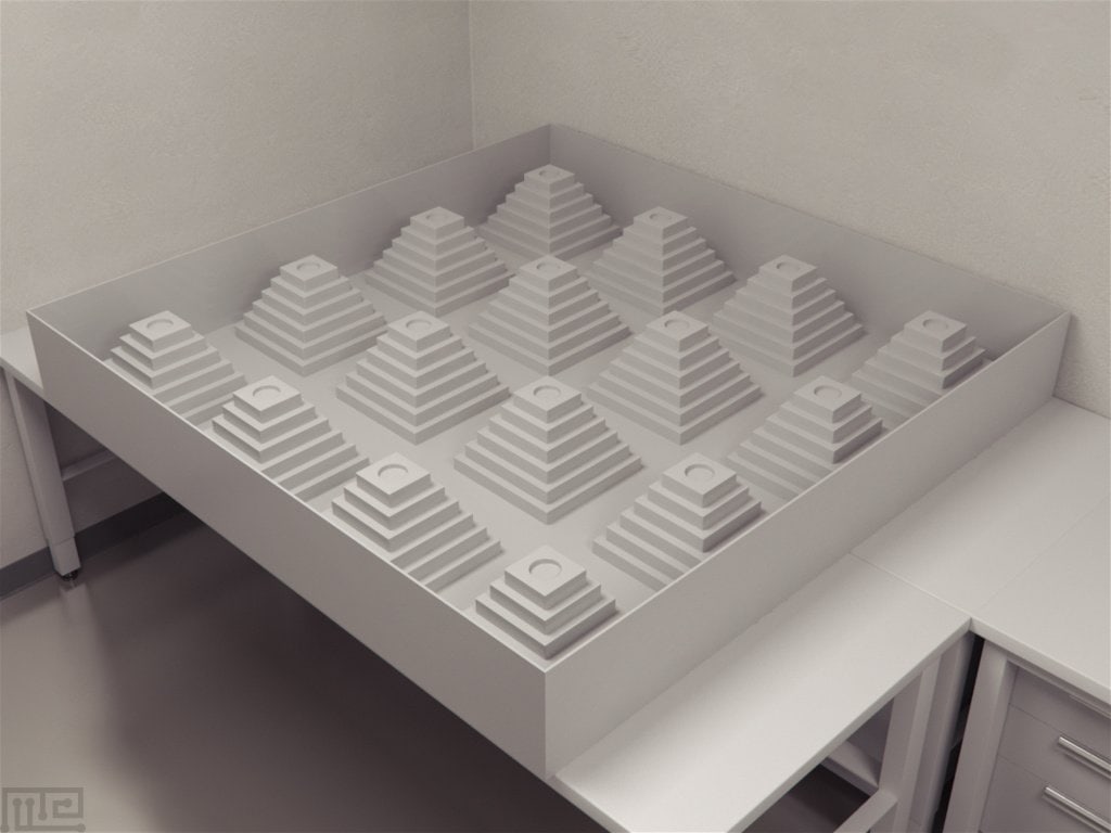 Ziggurat Task - Behavioral Mazes