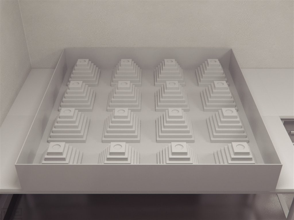 Ziggurat Task - Behavioral Mazes