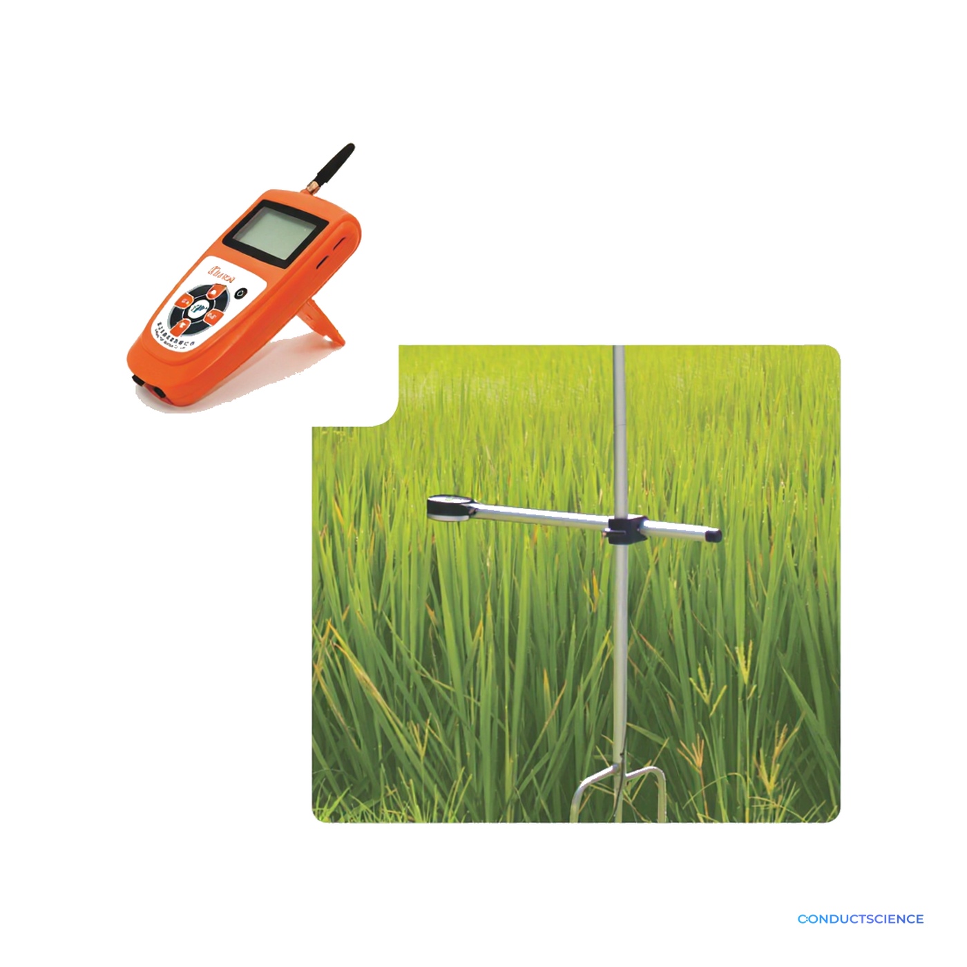 Plant Canopy Structure Analyzer