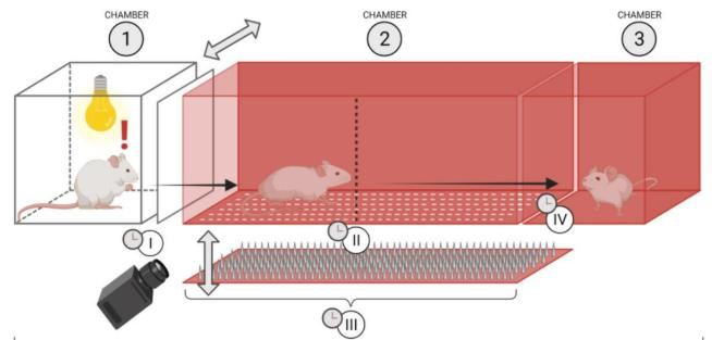 Mechanical Conflict Test apparatus: brightly lit start chamber, probe runway, and dark goal chamber with overhead camera