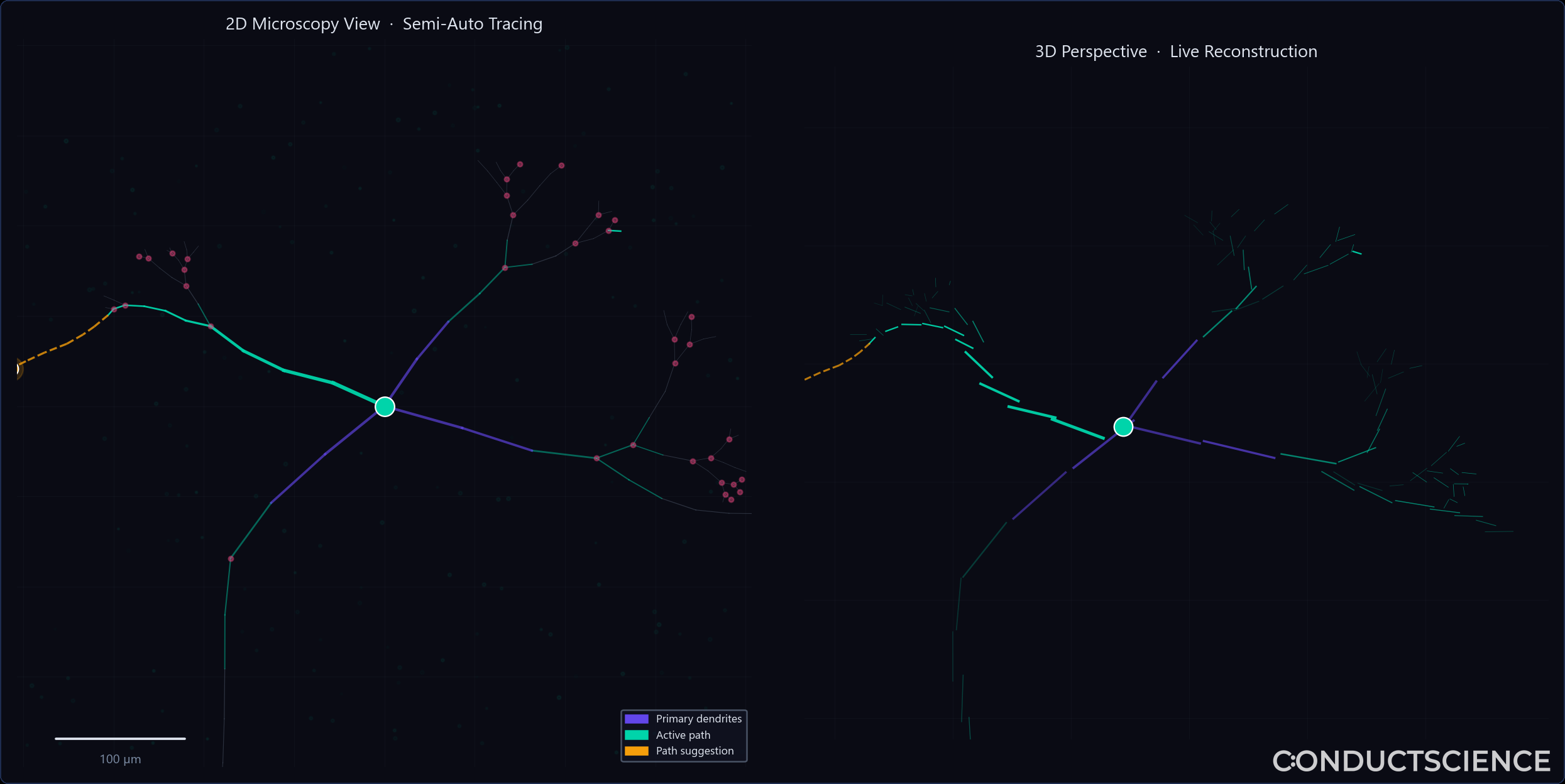 ConductVision Trace split 2D/3D tracing environment with active path suggestion