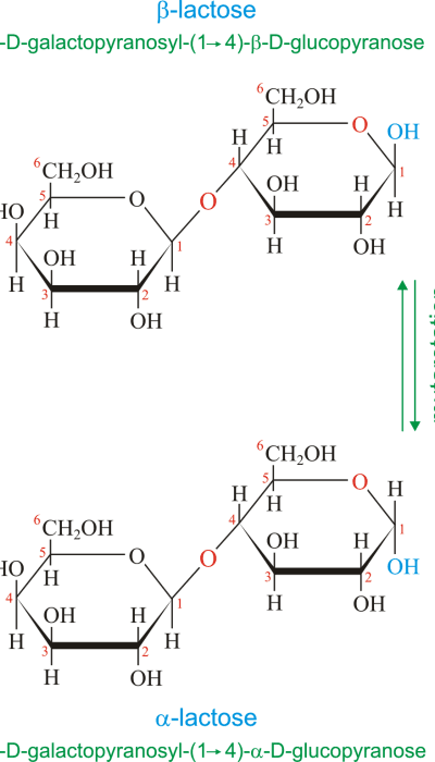 two structural forms of lactose achieved after mutarotation