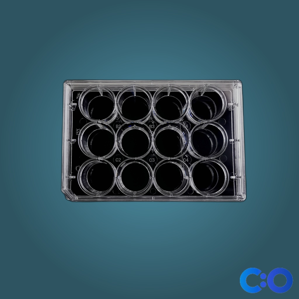 ConductScience Deep Well Plates, 96-Well, 2.2mL, Square Well (Case of 5) - General Labware
