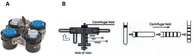 swinging bucket rotor