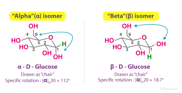 schematic diagram showing the three steps of chemical reactions involved in the interconversion of glucose molecules