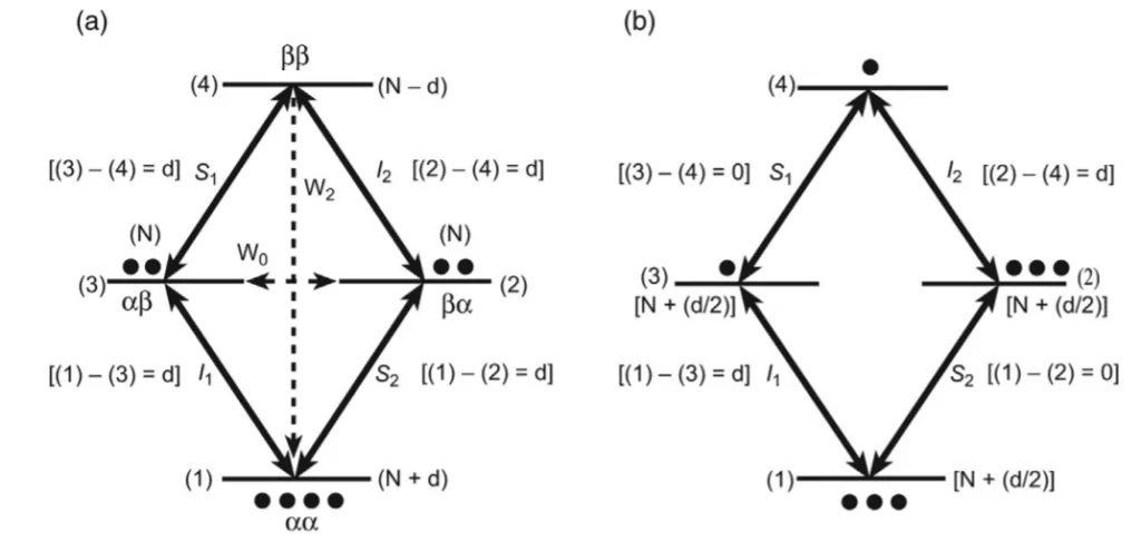 Energy level diagram of the system