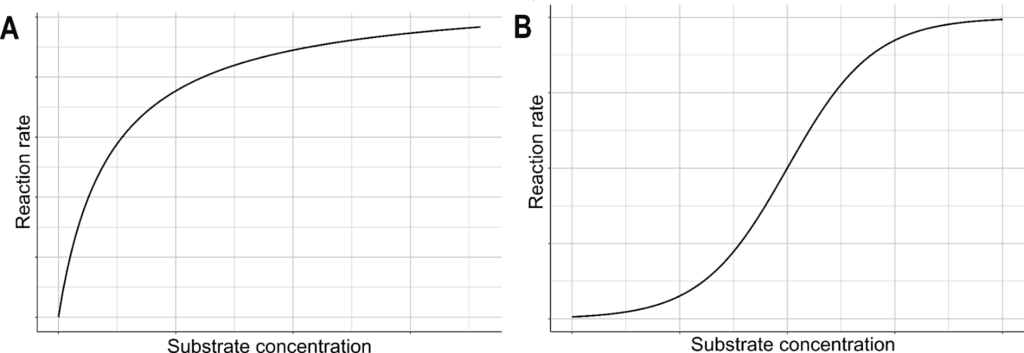 The relationship between substrate concentration and the rate of enzyme-catalyzed reaction