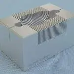 Brain Matrix: Coronal Section