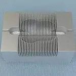 Brain Matrix: Coronal Section