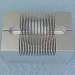 Brain Matrix: Coronal Section