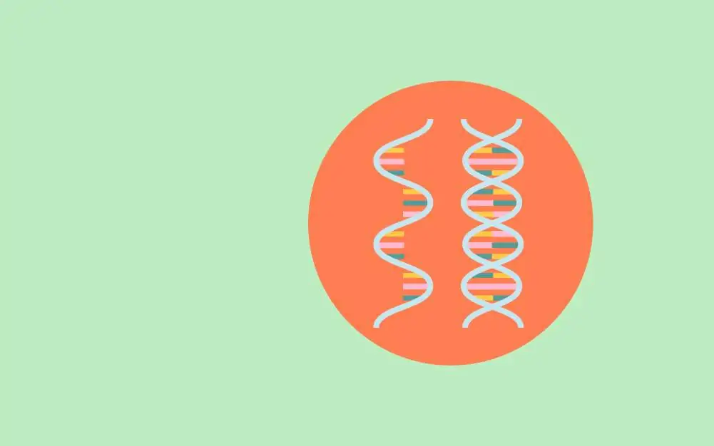 Nucleic Acid Quantification Protocols