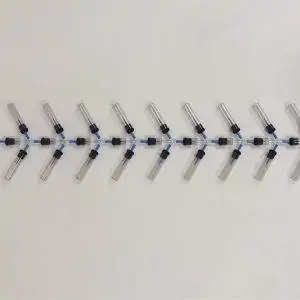 Drosophila Y Maze