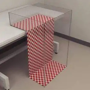 Visual Cliff Test