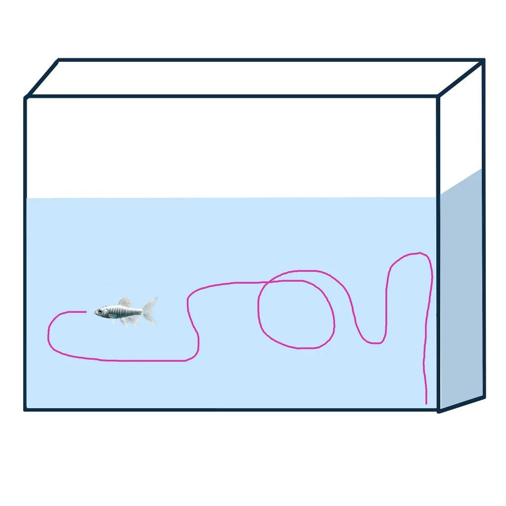 ConductVision Zebrafish