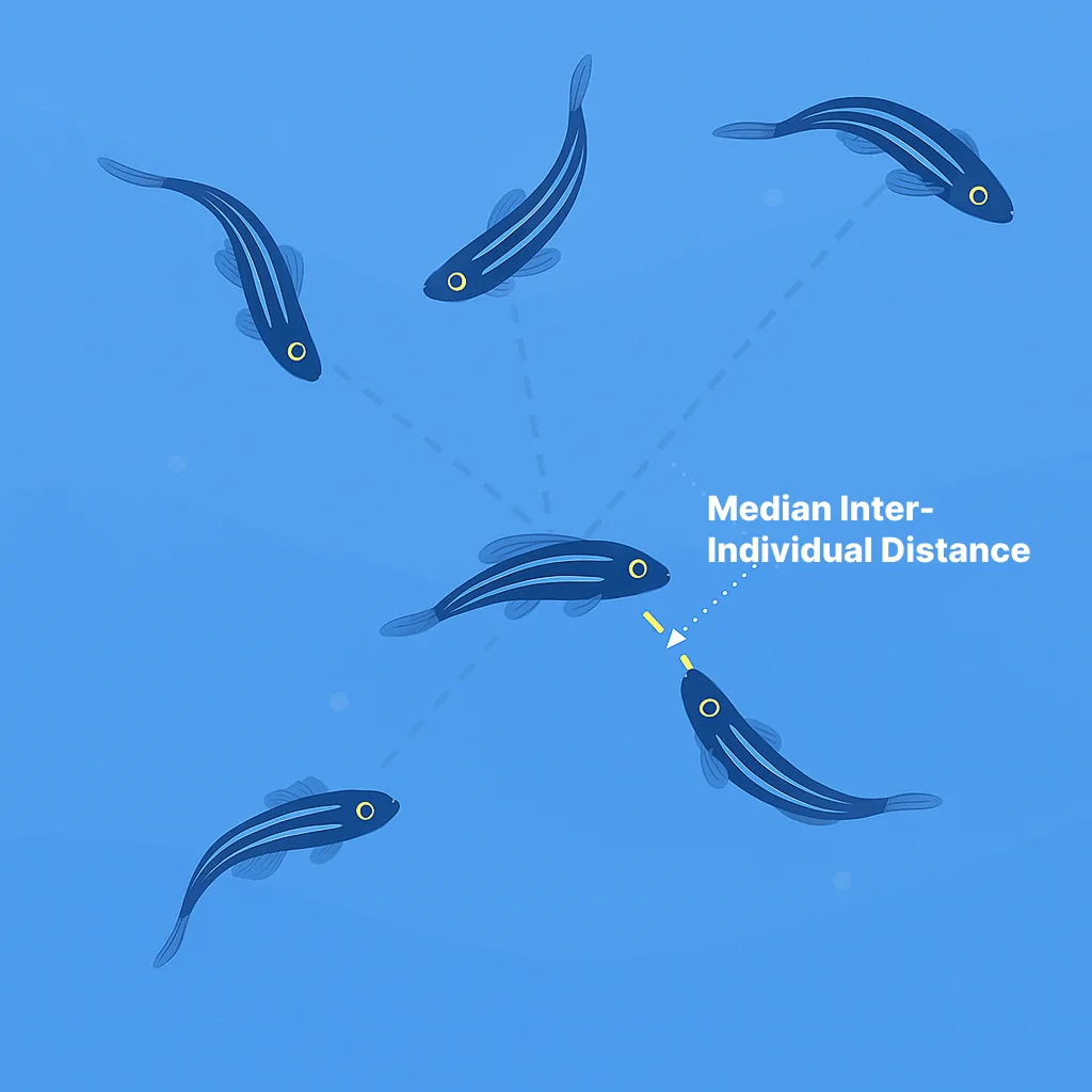 ConductVision Zebrafish