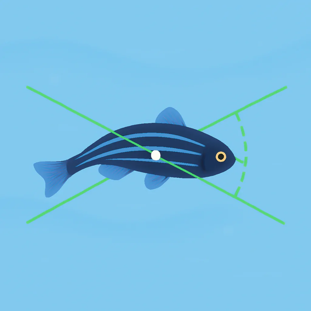 ConductVision Zebrafish is a powerful behavioral tracking solution designed for neuroscience, genetics, and pharmacology research.