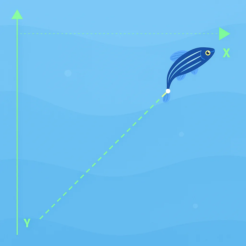 ConductVision Zebrafish