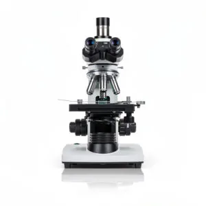 Microscopy