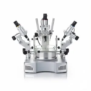 Slice Electrophysiology